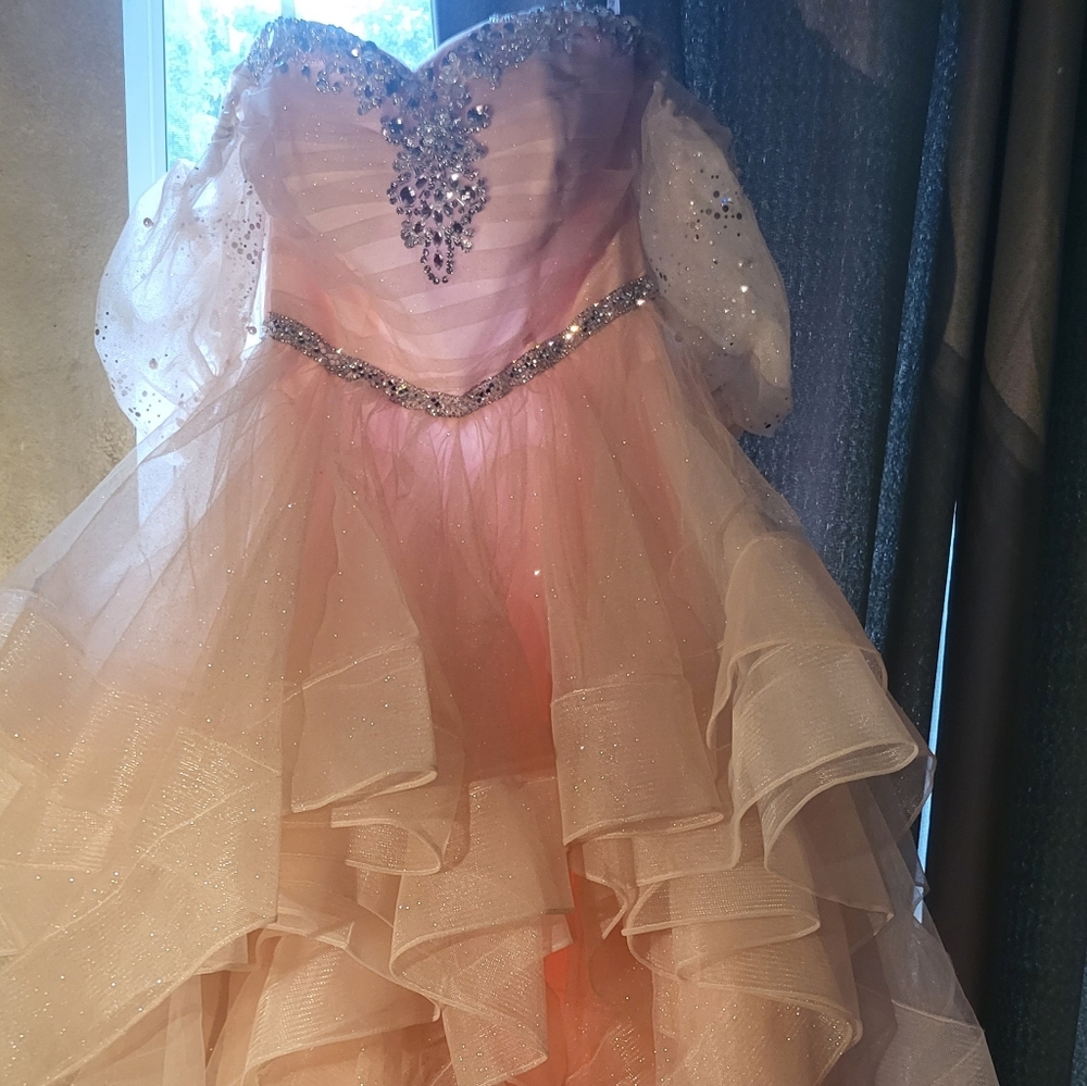 Fifteen Roses  Ball gown Quince/Sweet 16